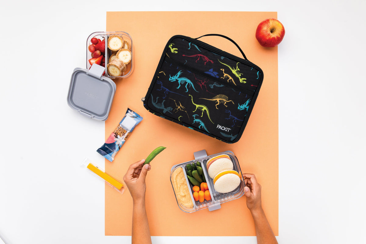 freezable-lunch-box-limited-edition-h1 2022_Lifestyle_Lunch-Box_Dino_Fossils_Hires.jpg